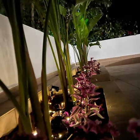 Elefanti Nani Apartment Livadia (Tilos)